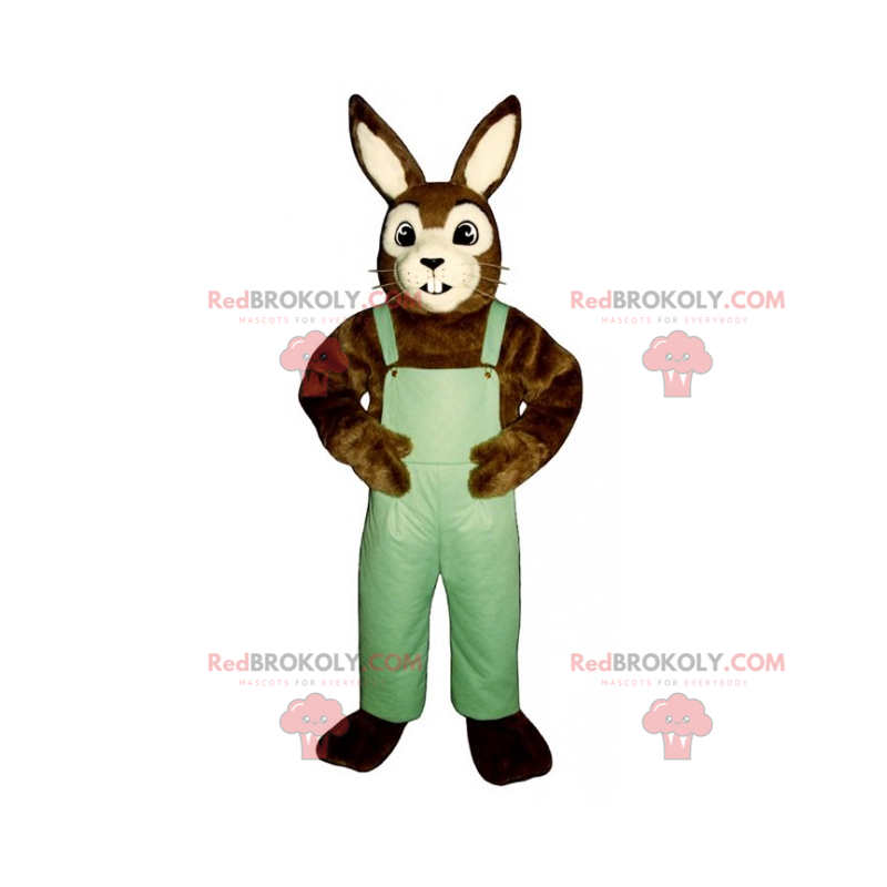 Mascotte coniglio marrone e bianco con tuta - Redbrokoly.com