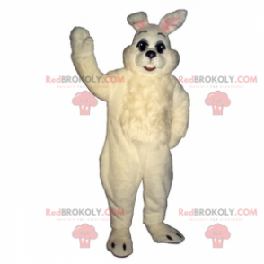 Toda la mascota del conejo blanco - Redbrokoly.com