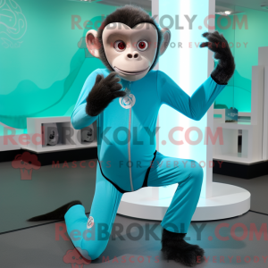 Cyan Capuchin Monkey...