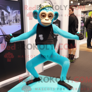 Cyan Kapuzineraffen...