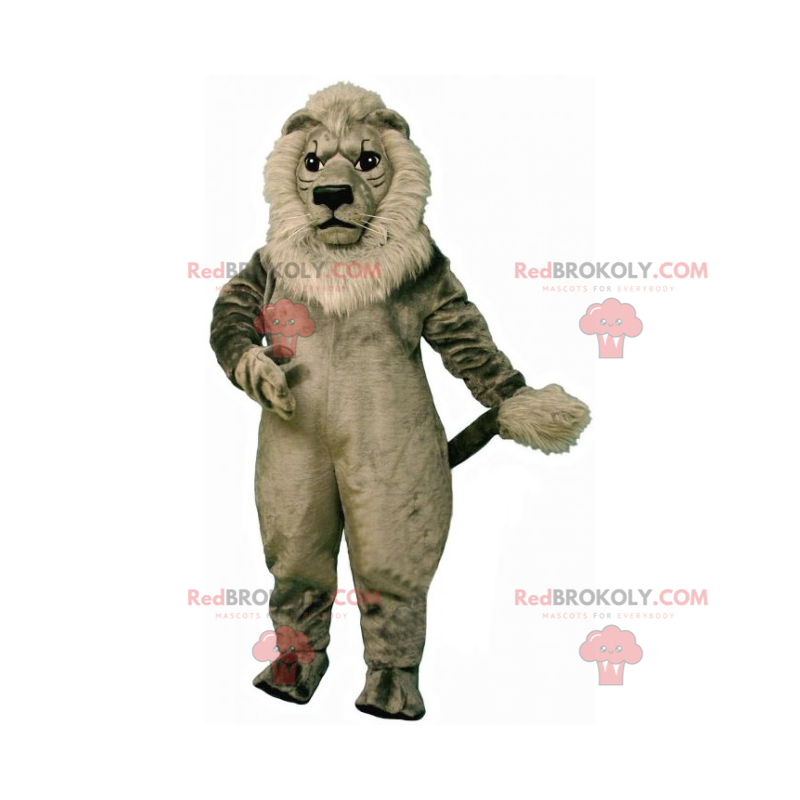 Maskot lva s šedou hřívou - Redbrokoly.com Maskot lva s šedou hřívou - Redbrokoly.com