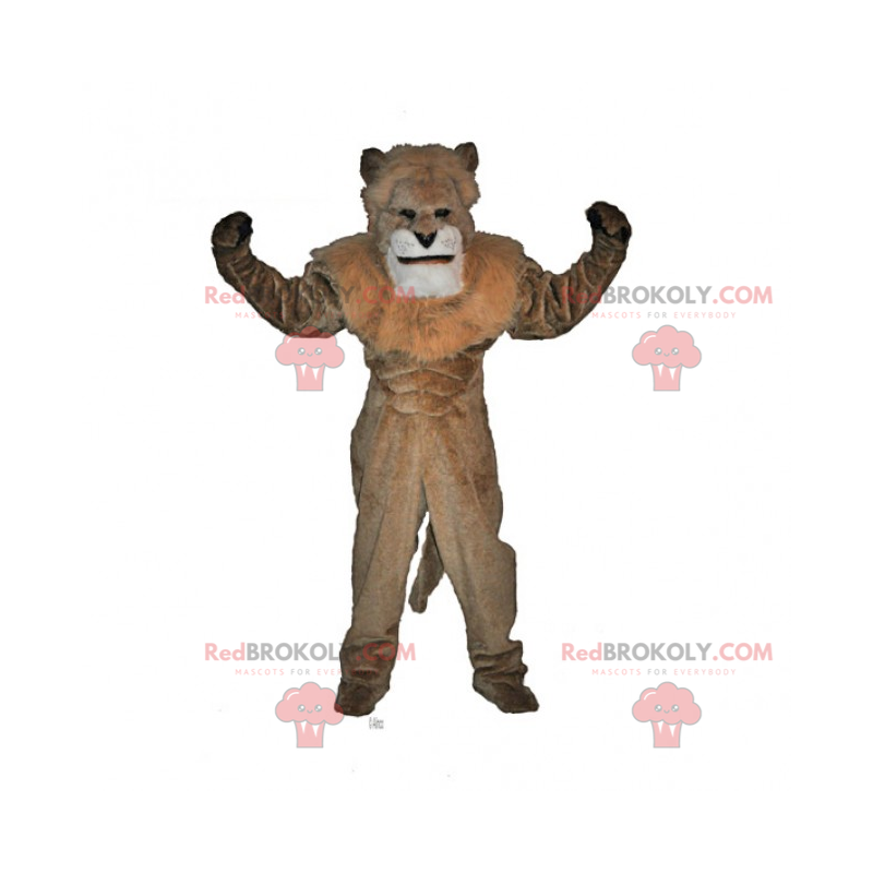 Mascote leão sem crina - Redbrokoly.com