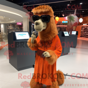Rust Camel maskot...