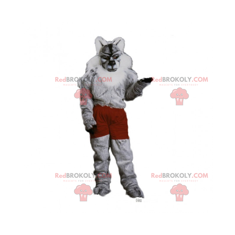 Mascota lobo en pantalones cortos - Redbrokoly.com