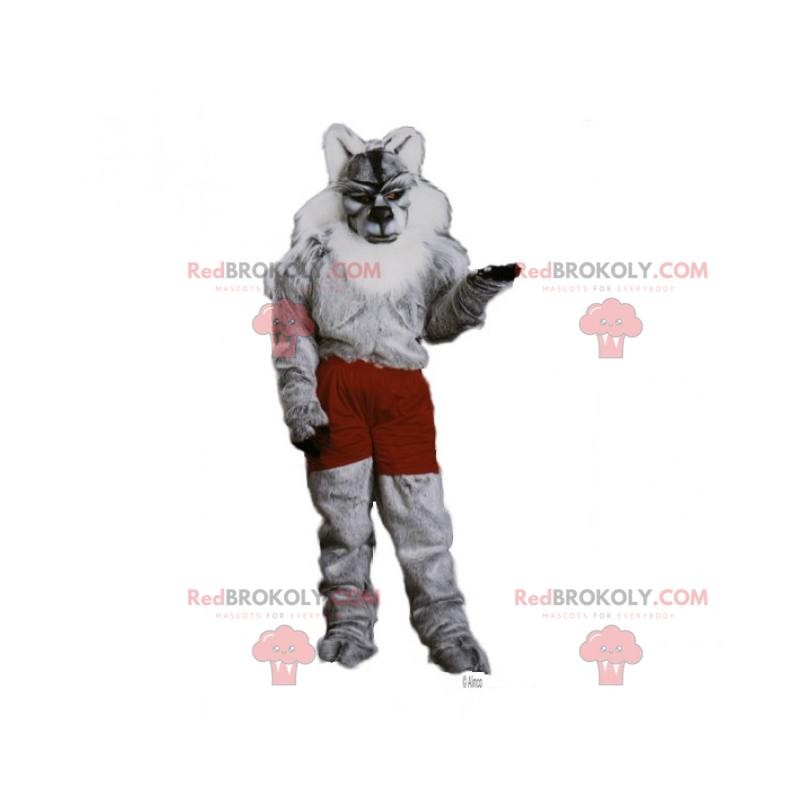 Mascotte del lupo in pantaloncini - Redbrokoly.com