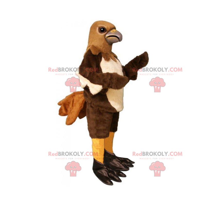 Mascote águia tricolor - Redbrokoly.com