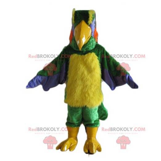 Mascote pássaro multicolorido gigante e peludo - Redbrokoly.com