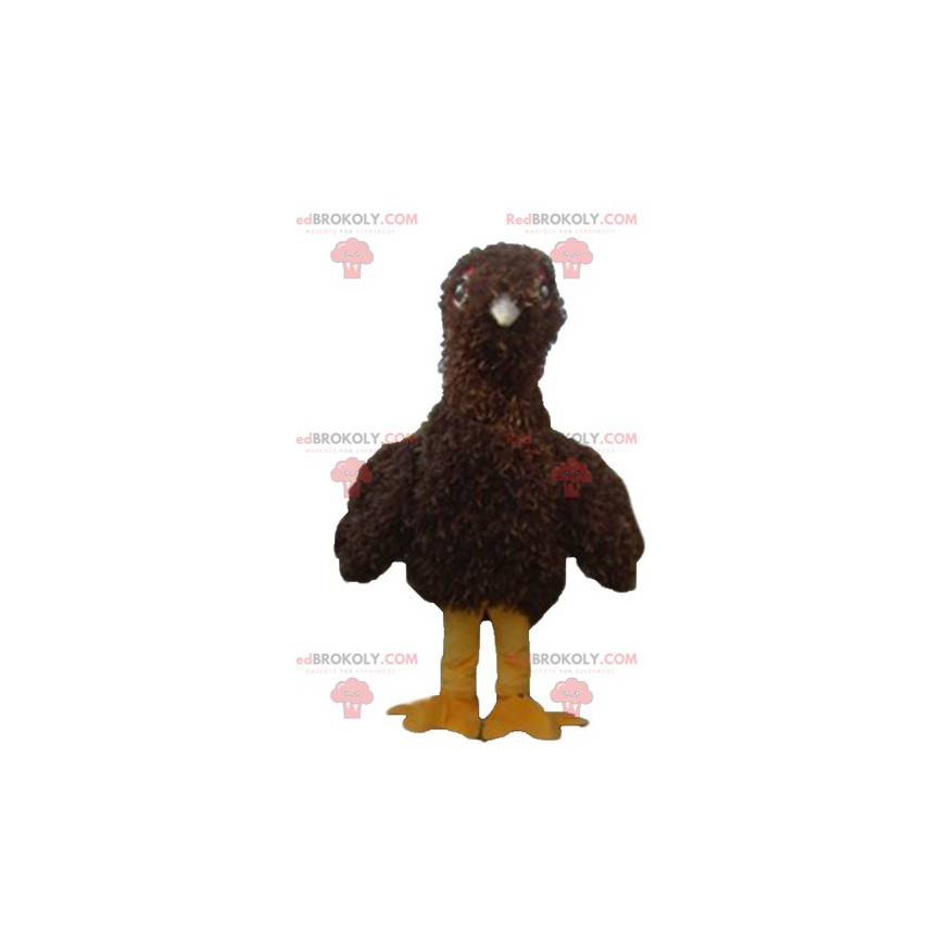 Mascota pájaro marrón y amarillo todo peludo - Redbrokoly.com