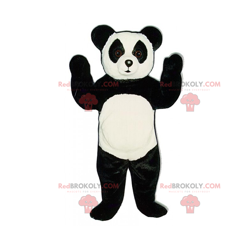 Panda maskot med store nysgerrige øjne - Redbrokoly.com