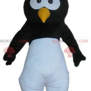 Mascote pássaro pinguim preto branco e amarelo - Redbrokoly.com