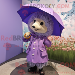 Lavender Hedgehog...