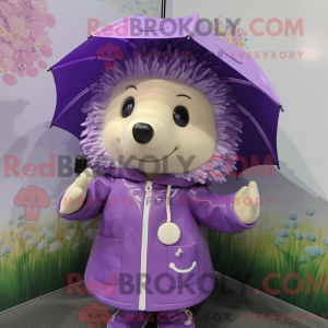 Lavender Hedgehog...