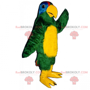 Mascota del loro de vientre amarillo - Redbrokoly.com