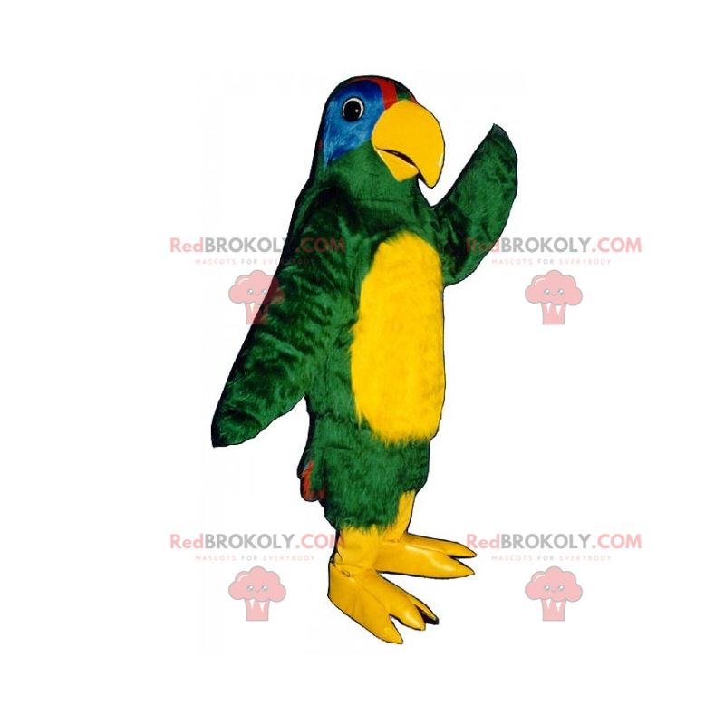 Mascote papagaio de barriga amarela - Redbrokoly.com