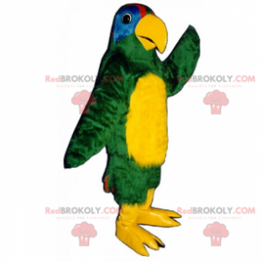 Mascote papagaio de barriga amarela - Redbrokoly.com
