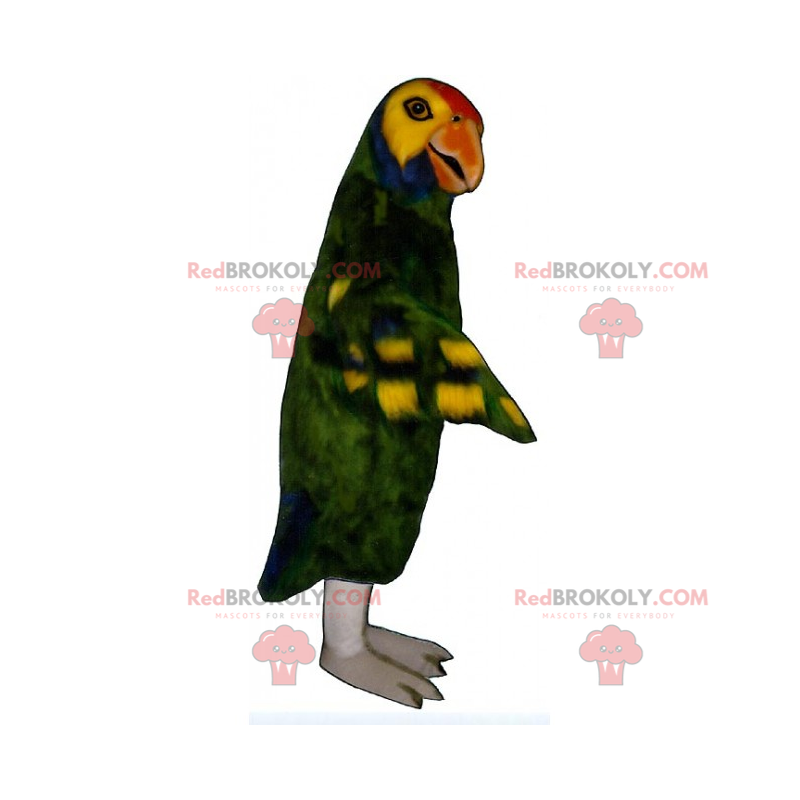 Green parrot mascot - Redbrokoly.com