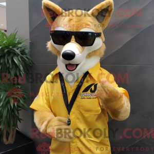 Máscara Gold Dingo com...