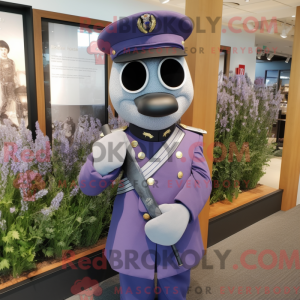 Lavendel American...