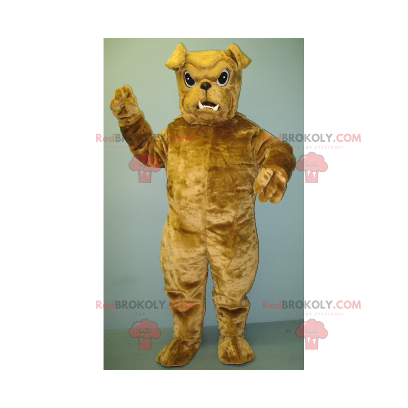 Kleines beige Bulldoggenmaskottchen - Redbrokoly.com