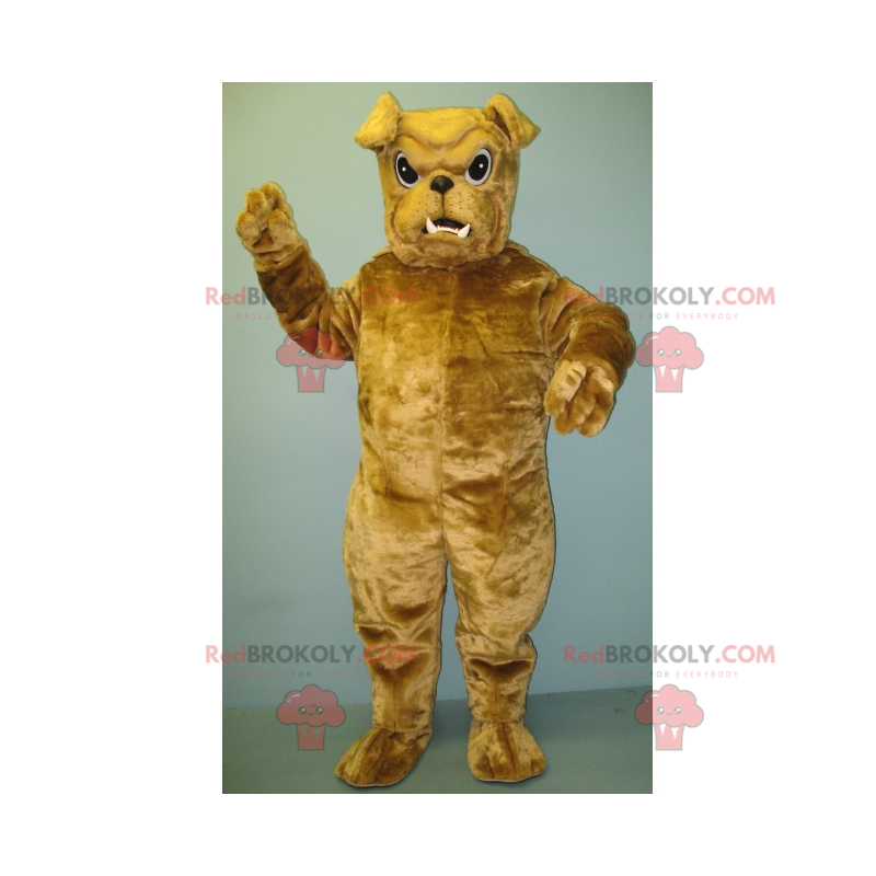 Liten beige bulldog maskot - Redbrokoly.com