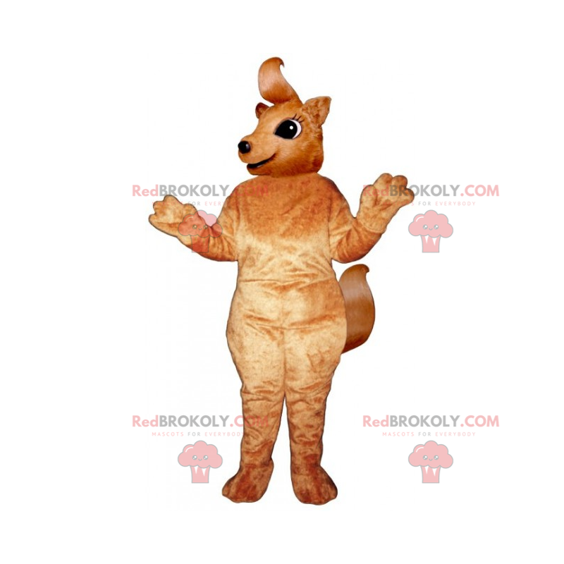 Pequeno mascote esquilo com cauda longa - Redbrokoly.com