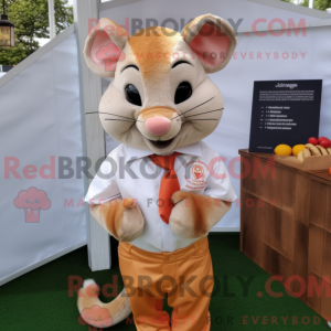 Costume de mascotte de Loir...