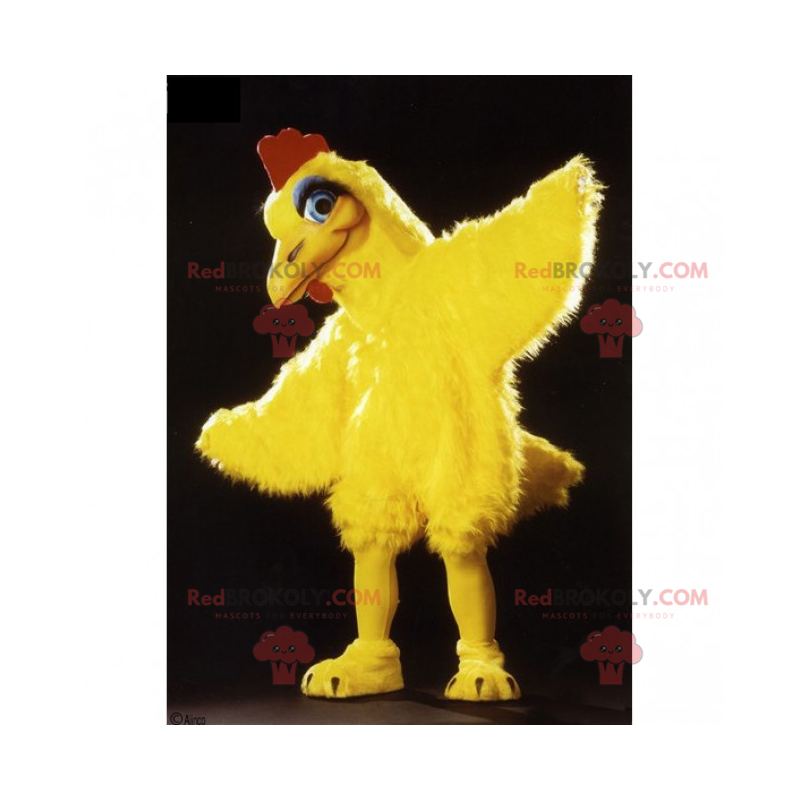 Liten kyckling för maskot med den röda toppen - Redbrokoly.com