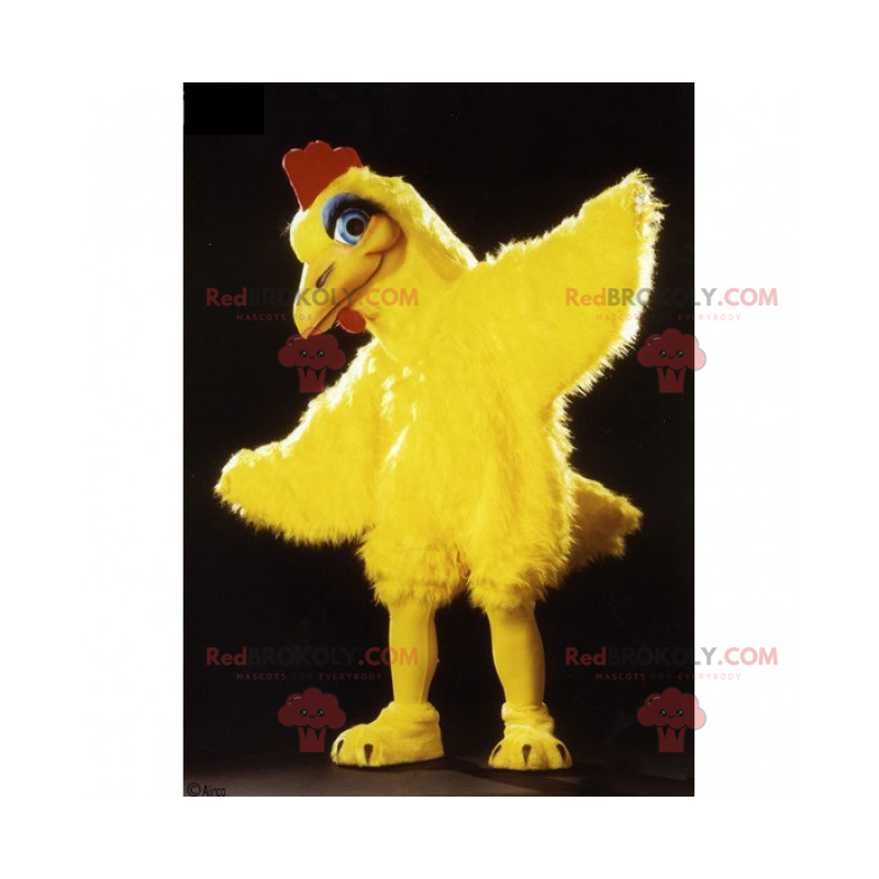 Mascot pollito con la cresta roja - Redbrokoly.com