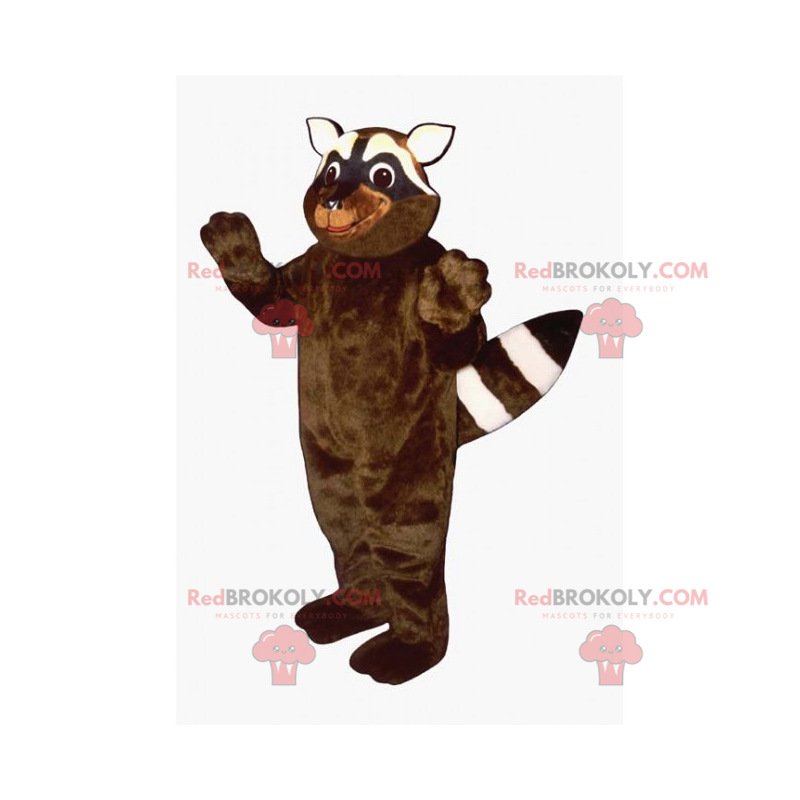 Pequeña mascota mapache - Redbrokoly.com