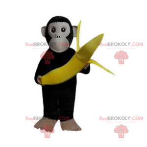 Pequeña mascota mono con su plátano - Redbrokoly.com