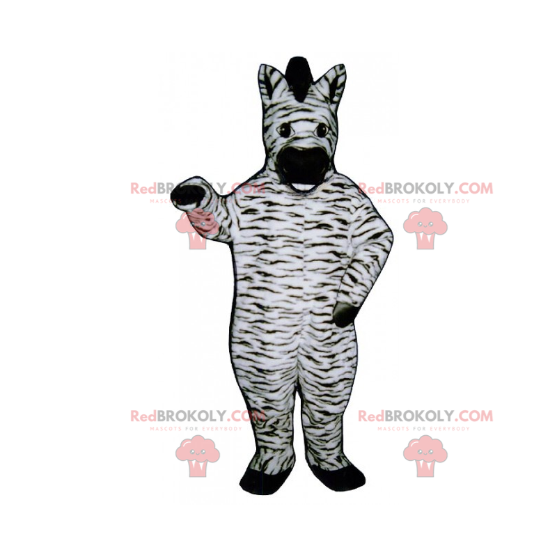 Mascote zebra pequeno - Redbrokoly.com