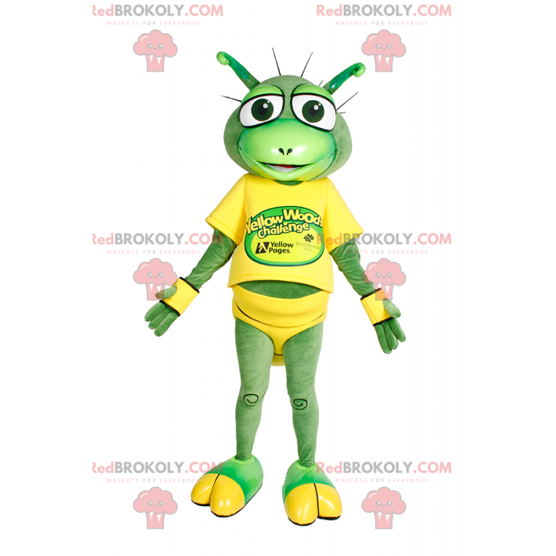 Mascotte piccola rana con grandi occhi - Redbrokoly.com Mascotte piccola rana con grandi occhi - Redbrokoly.com