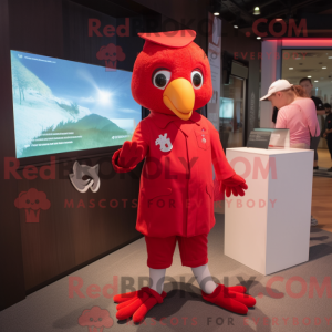 Red Dove mascottekostuum...