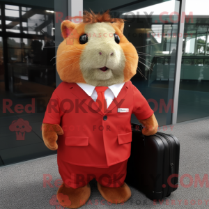 Rød marsvin maskot drakt...