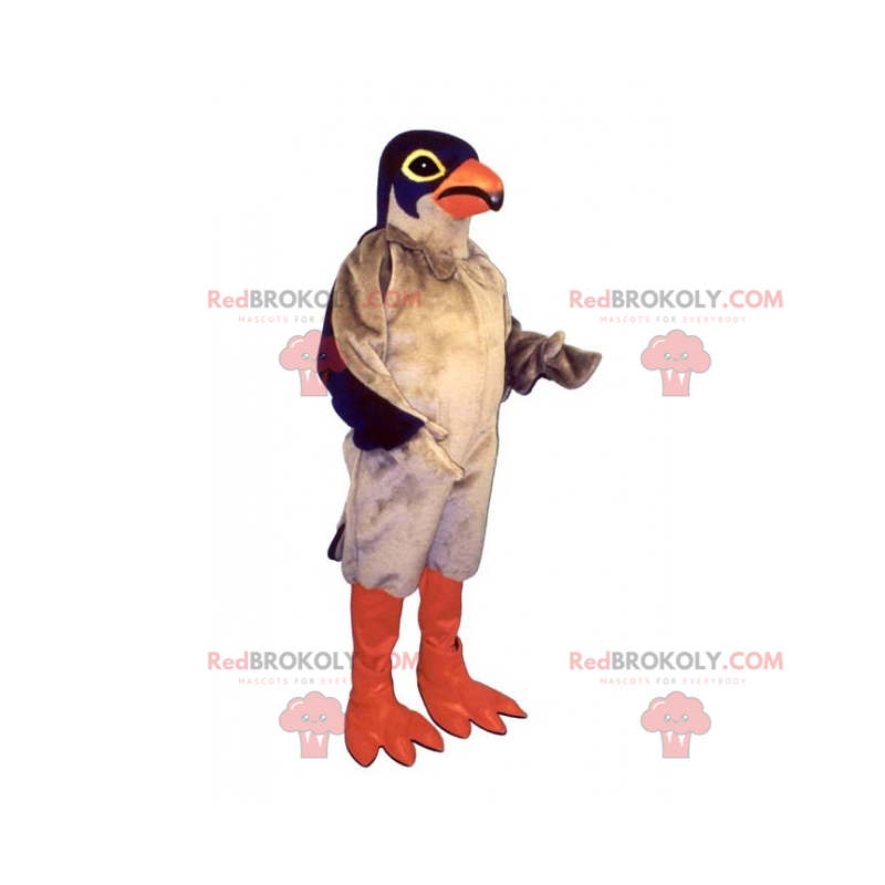 Mascotte de pigeon tricolore - Redbrokoly.com