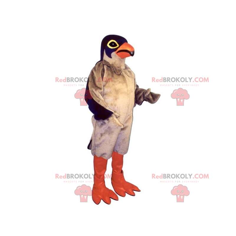 Tricolor pigeon mascot - Redbrokoly.com