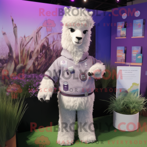 Lavendel Alpaca maskot...