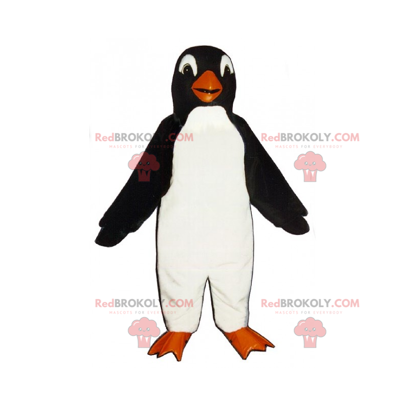 Mascotte del pinguino con una testa rotonda - Redbrokoly.com