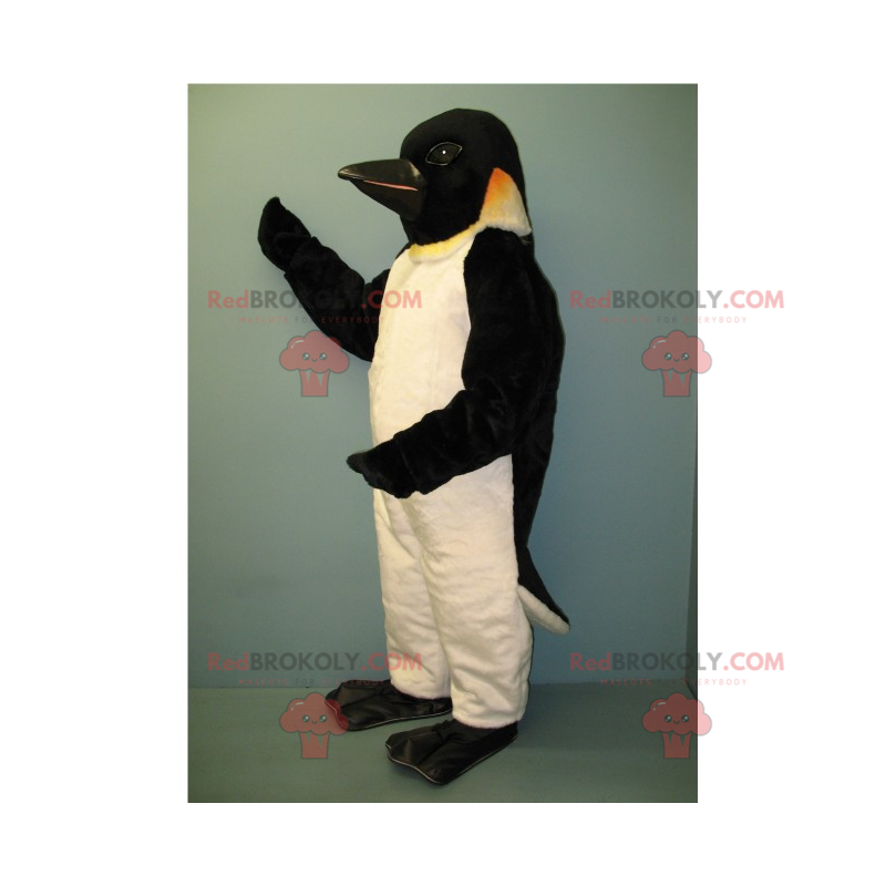 Mascote pinguim com cabeça preta - Redbrokoly.com