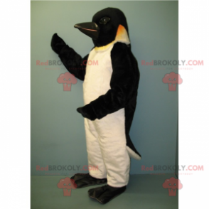 Mascote pinguim com cabeça preta - Redbrokoly.com