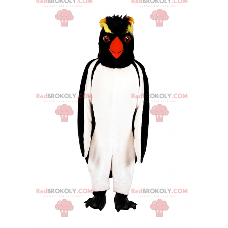 Mascote pinguim com cabeça preta e amarela - Redbrokoly.com