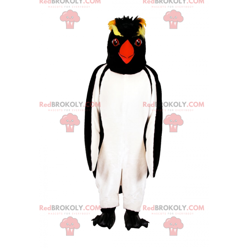 Pingvin maskot med svart og gult hode - Redbrokoly.com