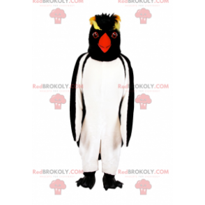 Mascote pinguim com cabeça preta e amarela - Redbrokoly.com