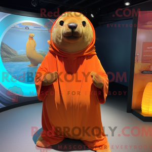 Costume de mascotte d...