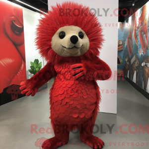 Rød Piggsvin maskot...
