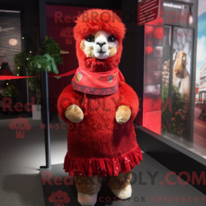 Costume mascotte d alpaga...
