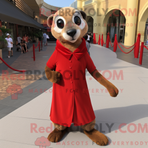 Rød Meerkat maskot kostume...