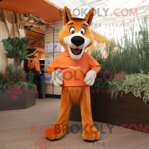 Oransje...