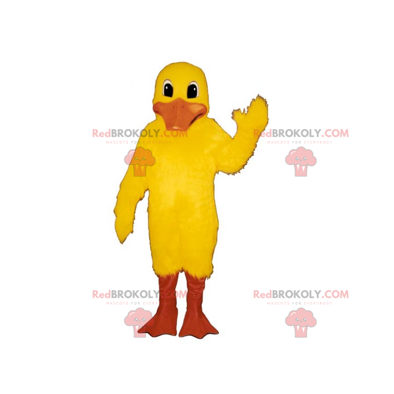 Mascota de pollito de pico largo - Redbrokoly.com