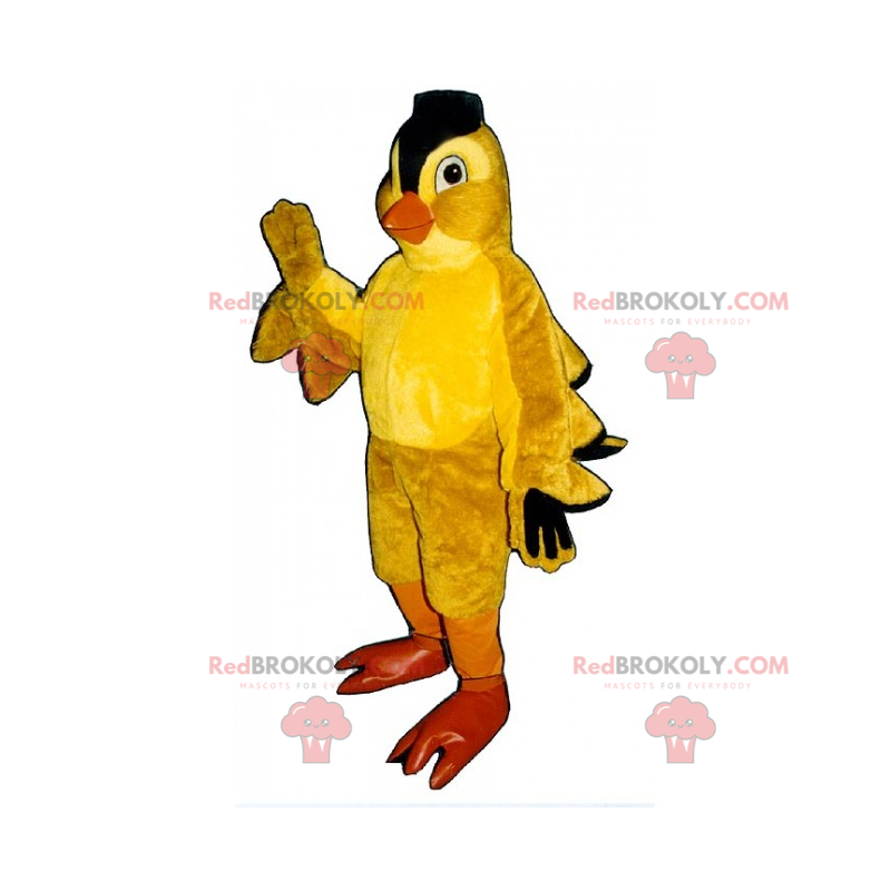 Chick maskot med sort kam - Redbrokoly.com
